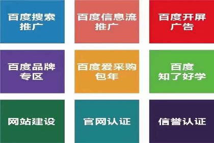 行业领先企业的SEM推广代运营实战经验